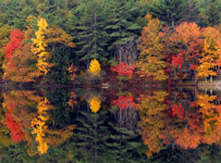 Photo of New England autumn foliage